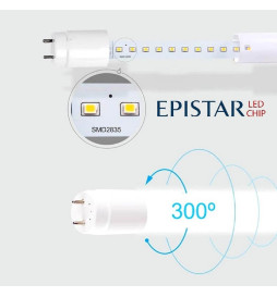 LED MAX 13W T8 Röhren Glas 90cm - 150lm/Lm