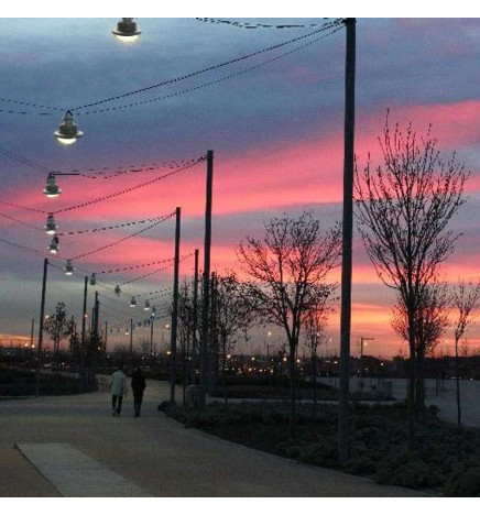 Support for LED street lamp  FISHERMAN