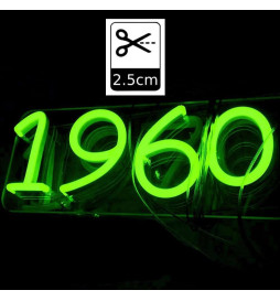 Pack striscia Neon Blu LED 6mm 12V + Alimentatore
