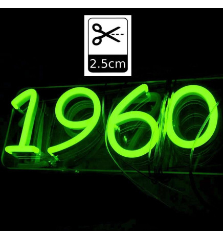 Pack striscia Neon Blu LED 6mm 12V + Alimentatore