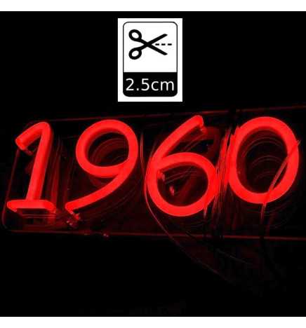 LED Stripe Neon Rot LED 6mm 12V + Stromversorgung