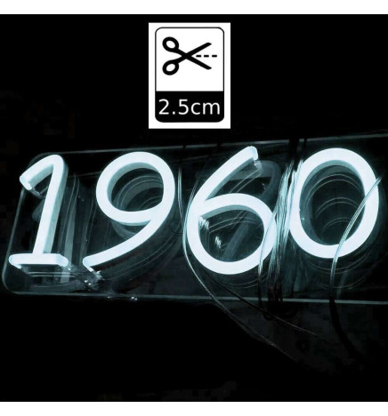 LED Stripe Neon LED 6mm 12V + Stromversorgung