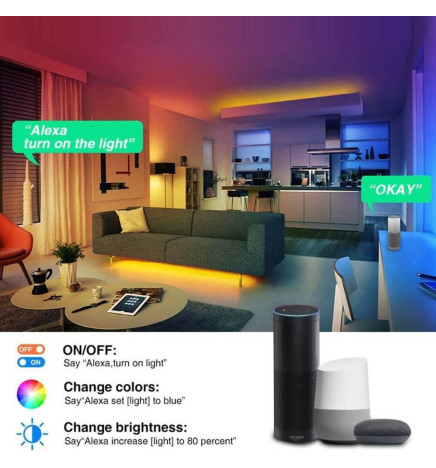 LED Strip 24W 12V SMART WiFi RGB + CCT - Dimbar - SMD5050