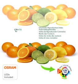 LED bulb 12W E27 A60 180° - OSRAM CHIP DURIS E 2835