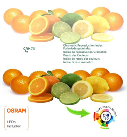 LED Bulb 6W  E27 G45 220º - OSRAM Chip