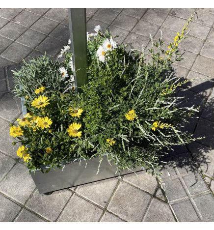 LED Straßenleuchte SOLAR 100W SUNWAY + Höhenverstellbarer tragbarer Ständer mit Rädern