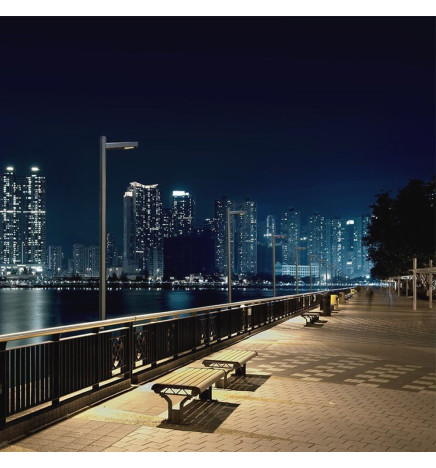 LED gadebelysning 50W Wanda - 4 meter - 6 meter