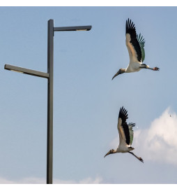 LED Straßenleuchte 100W HELGA - 4 Meter - 6 Meter