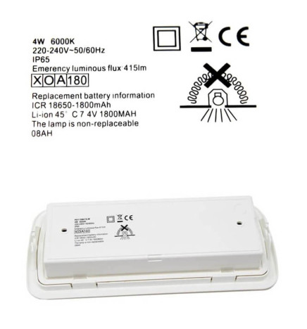 LED nødlys 4W + taksett + permanent lys alternativ - IP65