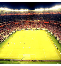 LED-Flutlicht 240W PHILIPS Xitanium STADIUM MATRIX Bridgelux Chip 20º - Treiber Philips