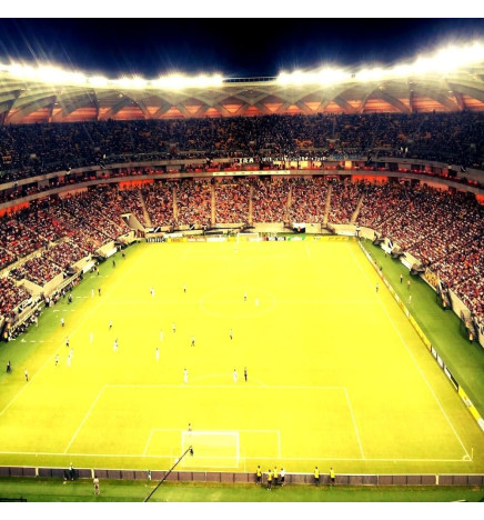 240W LED Floodlight PHILIPS Xitanium STADIUM MATRIX Bridgelux Chip 20º - Driver Philips