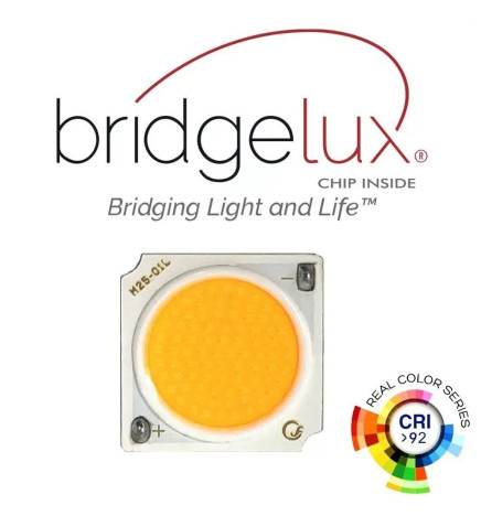 LED Downlight 12W Sort - Bridgelux Chip - UGR11 - CCT- CRI+92