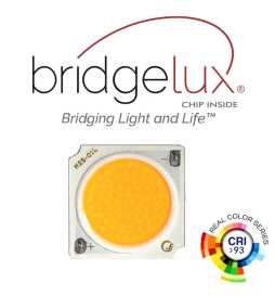 LED Tracklight 10W FENIX - Black - Single-phase rails - CRI+93