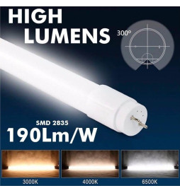 LED Tube Glass - 10W - 60cm T8 - 160 Lm/W - MAX LUMENS - 1600Lm