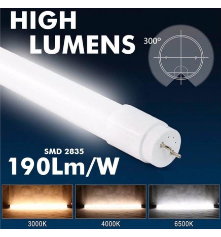 LED Röhre Glas - 10W - 60cm T8 - 160 Lm/W - MAX LUMENS - 1600Lm