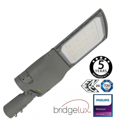 Farola LED 100W CAPRI  Philips Driver Programable SMD5050 240Lm/W