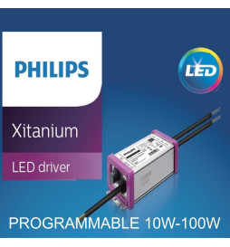 Farola LED 100W CAPRI  Philips Driver Programable SMD5050 240Lm/W