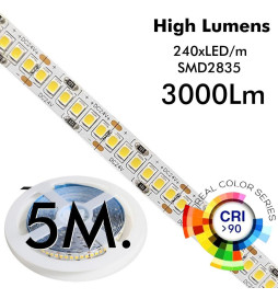 Striscia LED 24V | 240xLED/m | 5m | SMD2835 | 560Lm | 30W/M | IP20
