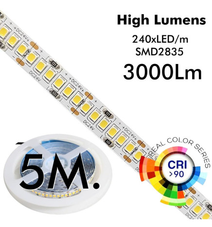 Striscia LED 24V | 240xLED/m | 5m | SMD2835 | 560Lm | 30W/M | IP20