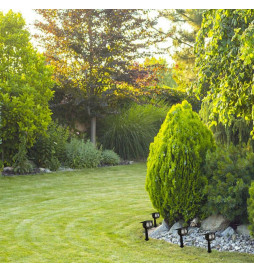 Piquet solaire de jardin LED - IP65 -  4000K