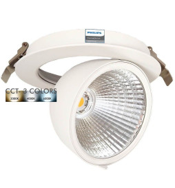 Downlight LED 30W Philips - CertaDrive -  Circular Direccionable - HAMBURGO