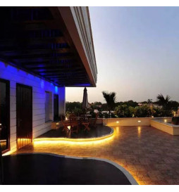 Ruban LED COB 24V | 480 LED/m | 30m | FLIP CHIP | 1200Lm |12W/M | CRI90 | IP20