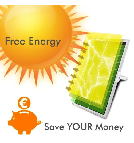 Adjustable Solar LED Spotlight - 5W - Motion sensor - 4000K
