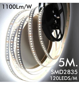 Striscia LED 24V | 120xLED/m | 5m | SMD2835 | 1100Lm | 12W/M | IP20