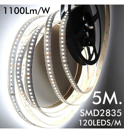Striscia LED 24V | 120xLED/m | 5m | SMD2835 | 1100Lm | 12W/M | IP20