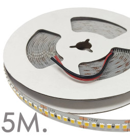 Striscia LED 24V | 120xLED/m | 5m | SMD2835 | 1100Lm | 12W/M | IP20