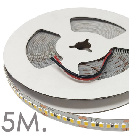 Striscia LED 24V | 120xLED/m | 5m | SMD2835 | 1100Lm | 12W/M | IP20