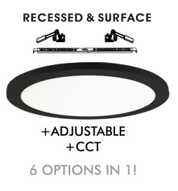 Downlight + LED Ceiling Light - Circular - BLACK MOSS - 24W - ADJUSTABLE - Selectable CCT Color
