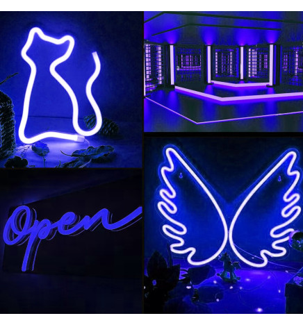 Neon LED - 5 mètres - BLEU - LED 6 mm - 12V - Coupe 2,5 cm