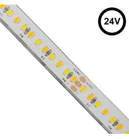 Striscia LED 24V | 240xLED/m | 5m | SMD2025 | CCT | 10W/M | IP20