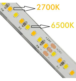 Striscia LED 24V | 240xLED/m | 5m | SMD2025 | CCT | 10W/M | IP20