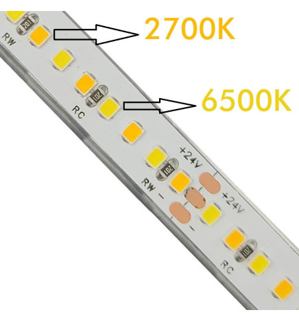 Striscia LED 24V | 240xLED/m | 5m | SMD2025 | CCT | 10W/M | IP20