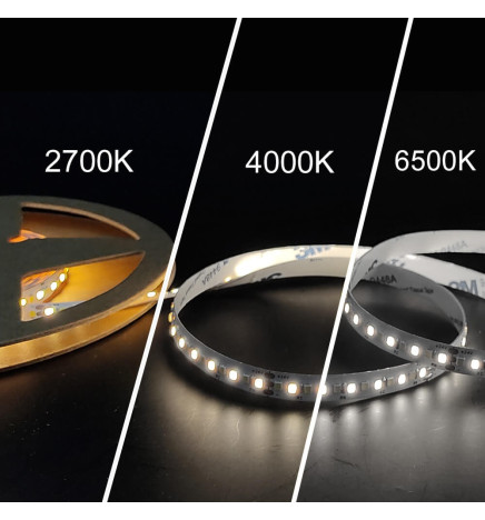 Striscia LED 24V | 240xLED/m | 5m | SMD2025 | CCT | 10W/M | IP20