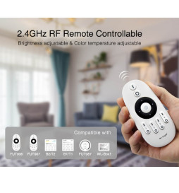 CCT Dual Mini RF Controller 4 Zones 12A + Remote Controller