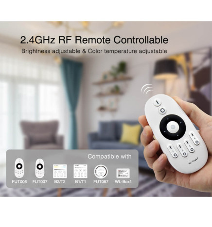 CCT Dual Mini RF Controller 4 Zones 12A + Remote Controller