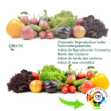 Striscia LED COB 220V | 640 LED/m | 50m | FLIP CHIP | 1650Lm | 15W/M | CRI90 | IP20| Taglia 100 cm