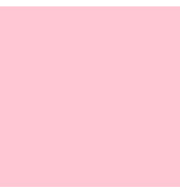 Filtro Rosa per Apparecchio...