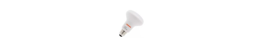 Accessori lampadine LED factorled 