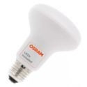LED PAR Bulbs