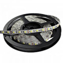Strisce LED e Neon Flessibile