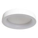Ceiling Lamps